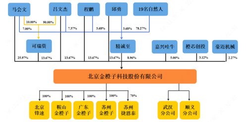 金橙子新三板退市谋求科创板上市,未来市场增长存在不确定性如何破解